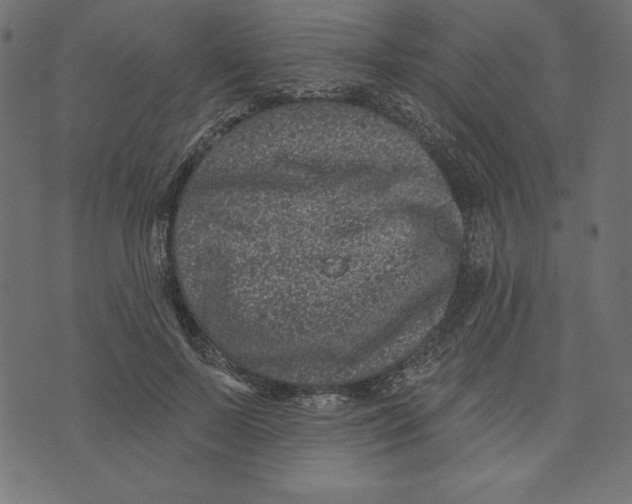 X0000072940695200608181341