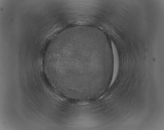 X0000072940696200608181341