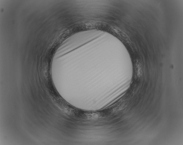 X0000072940698200608181341