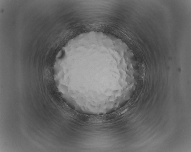 X0000072940699200608181341