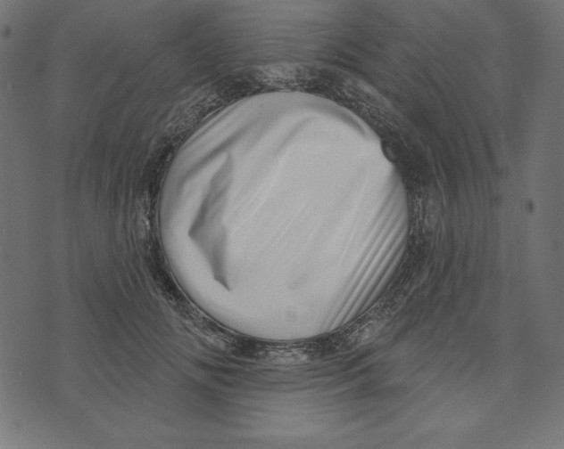 X0000072940702200608181341