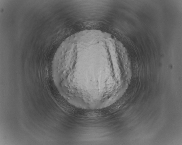 X0000072940703200608181341