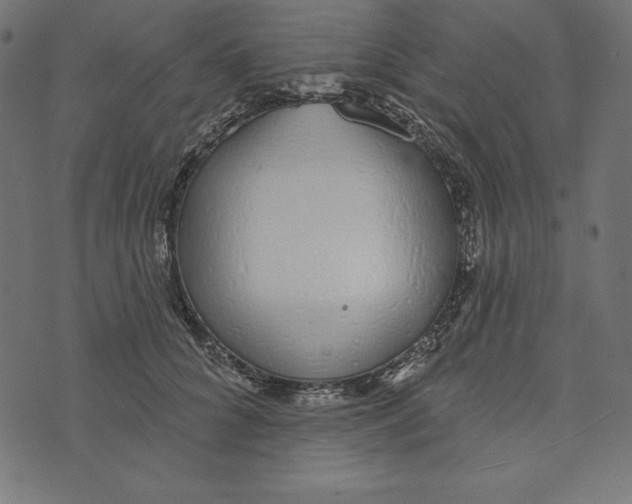 X0000072940704200608181341