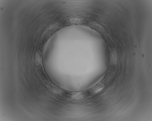 X0000072940705200608181341