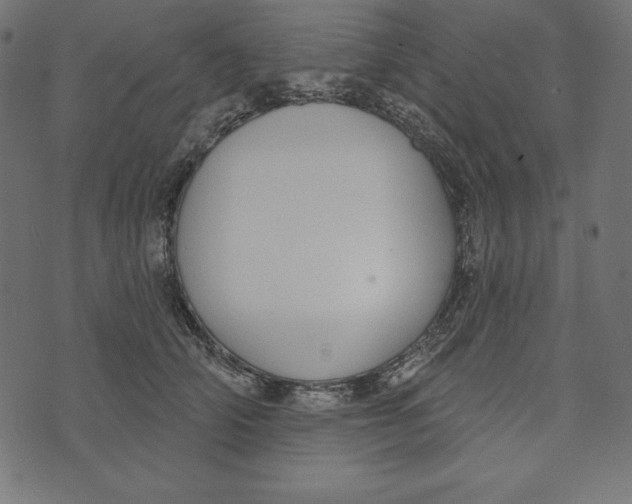 X0000072940706200608181341