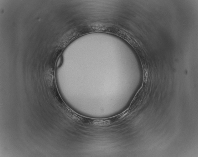 X0000072940707200608181341