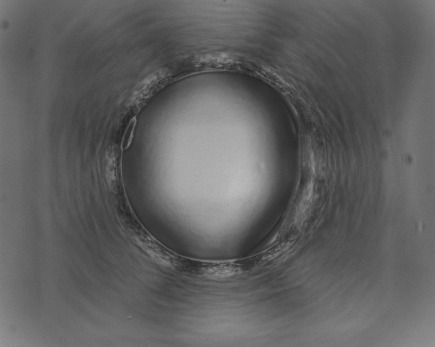 X0000072940708200608181341