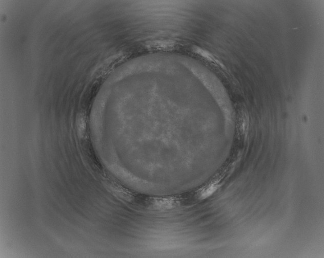 X0000072940709200608181341