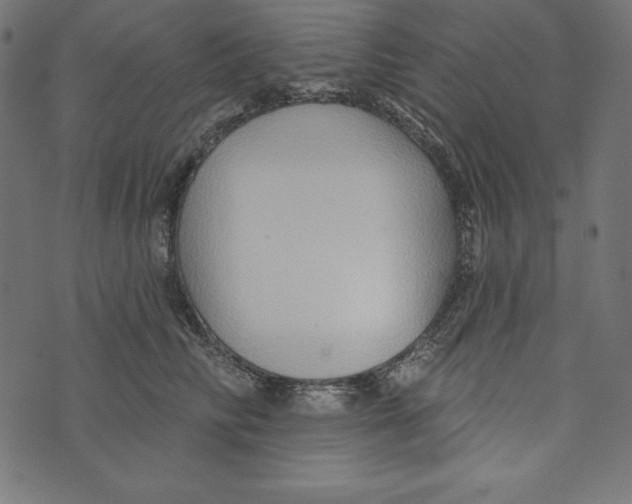 X0000072940710200608181341