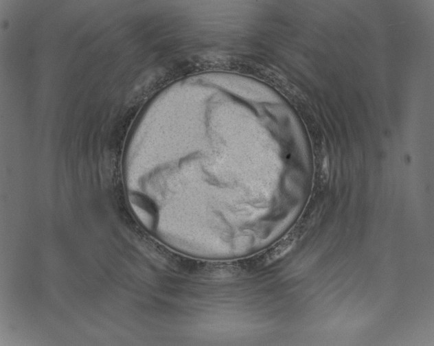 X0000072940711200608181341