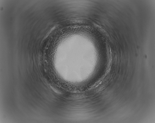 X0000072940712200608181341