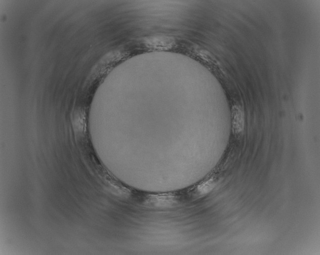 X0000072940713200608181341