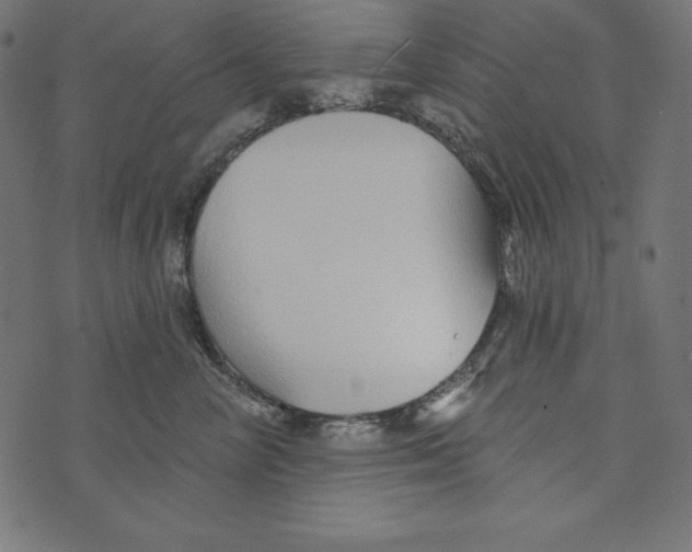 X0000072940714200608181341