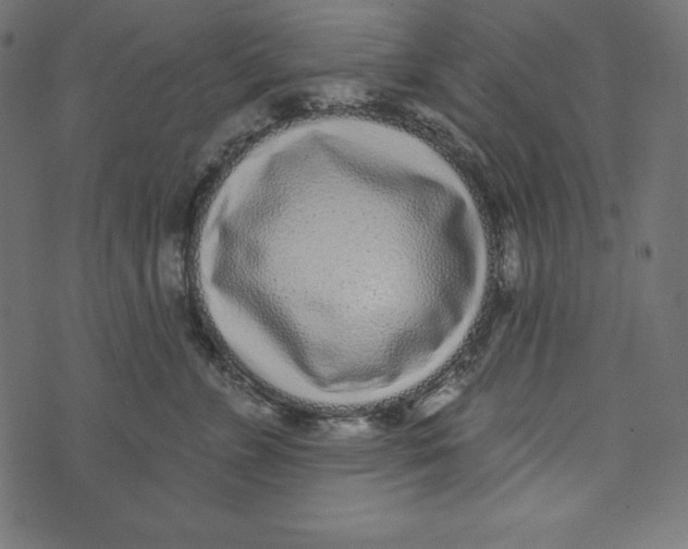 X0000072940715200608181341