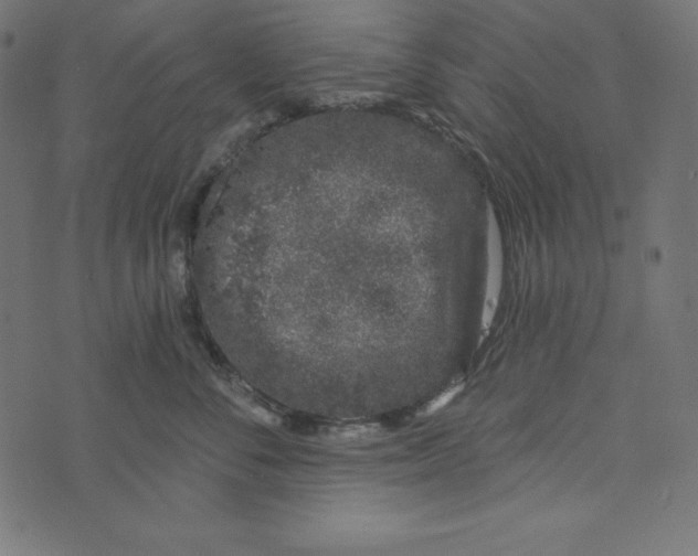 X0000072940716200608181341