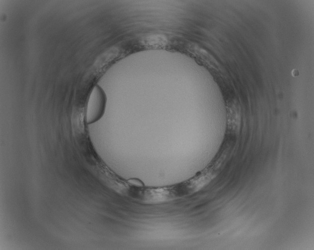 X0000072940717200608181341