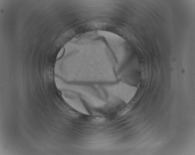 X0000072940718200608181341