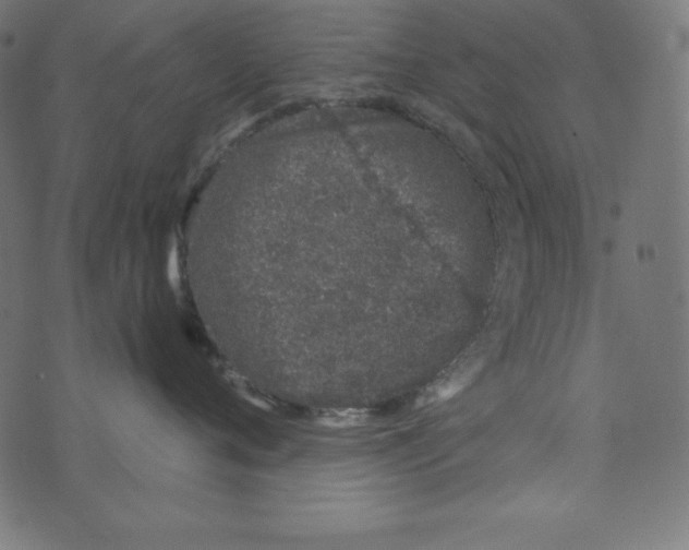 X0000072940720200608181341