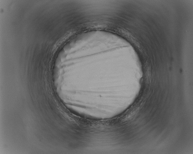 X0000072940721200608181340