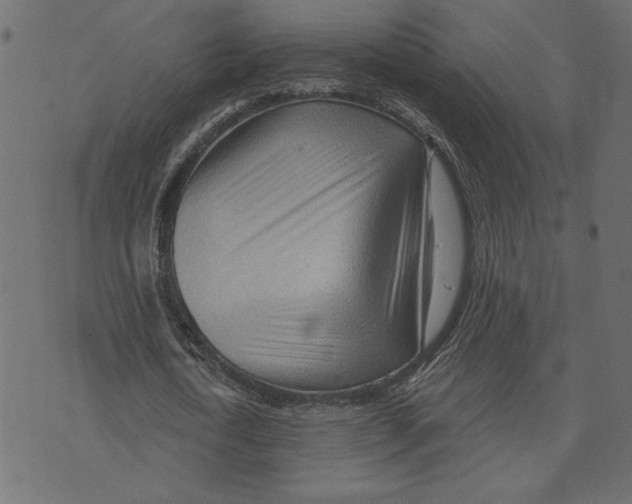 X0000072940722200608181340