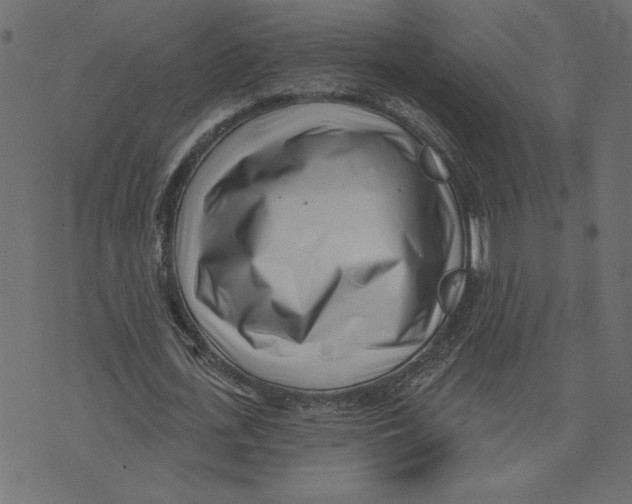 X0000072940723200608181340