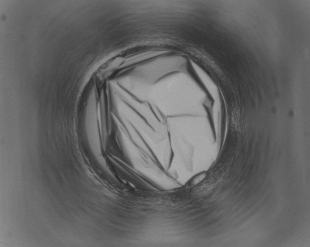 X0000072940724200608181340