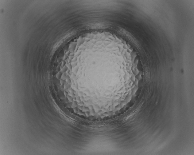 X0000072940725200608181340