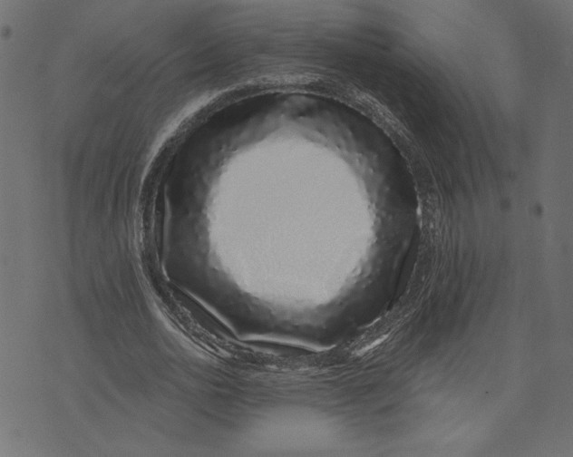 X0000072940726200608181340