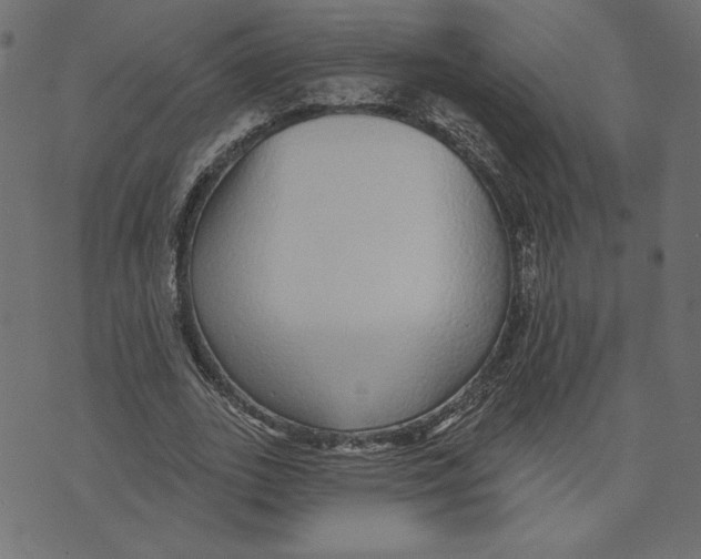 X0000072940727200608181340