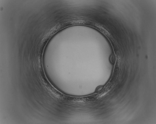 X0000072940729200608181340