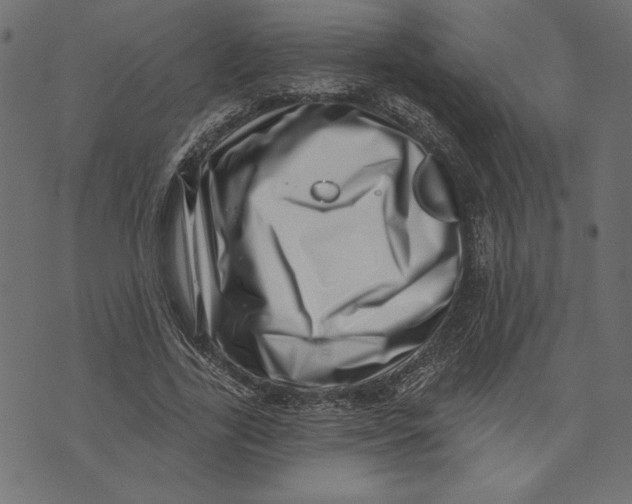 X0000072940731200608181340