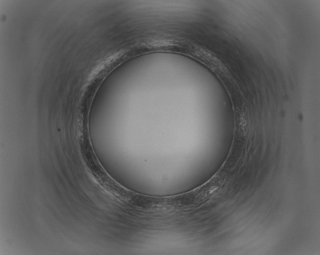 X0000072940732200608181340