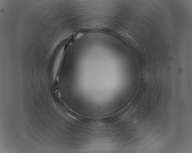 X0000072940735200608181340