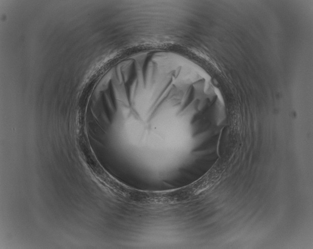 X0000072940736200608181340