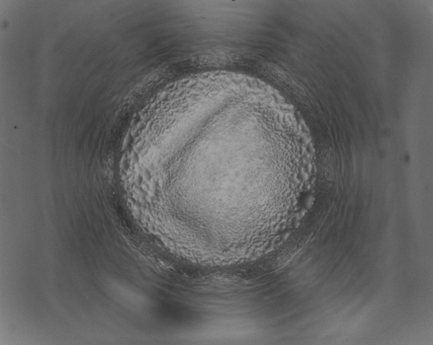 X0000072940737200608181340