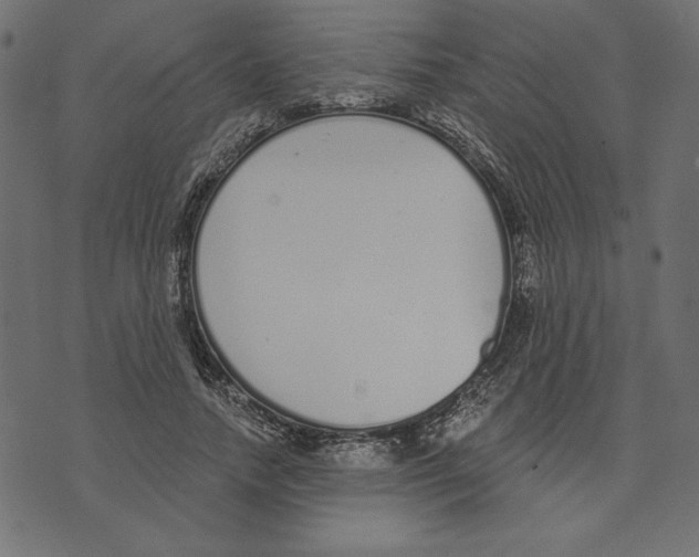 X0000072940738200608181340