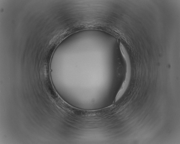 X0000072940740200608181340