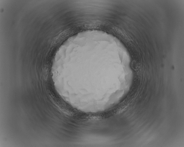 X0000072940741200608181340