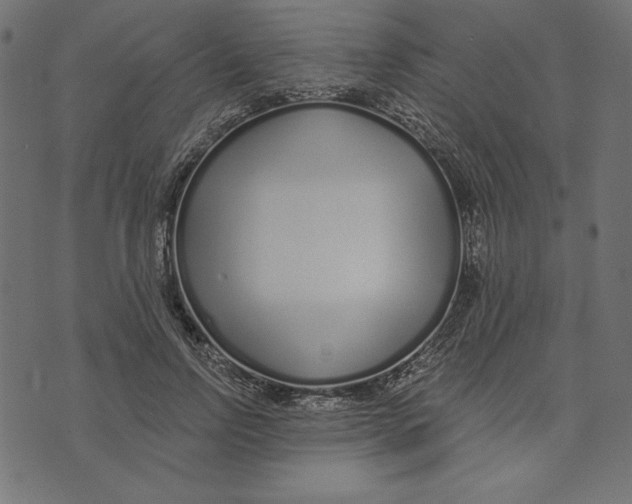 X0000072940742200608181340