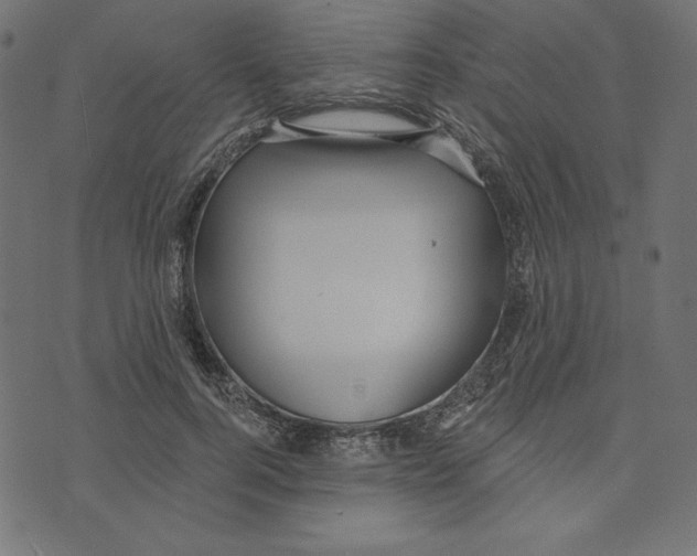 X0000072940744200608181340