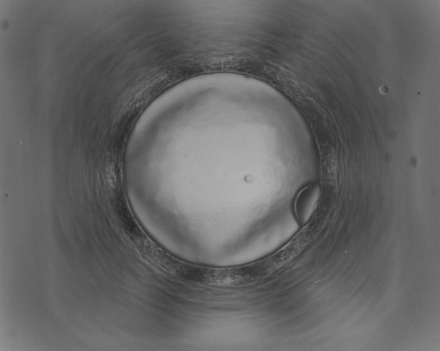 X0000072940746200608181340