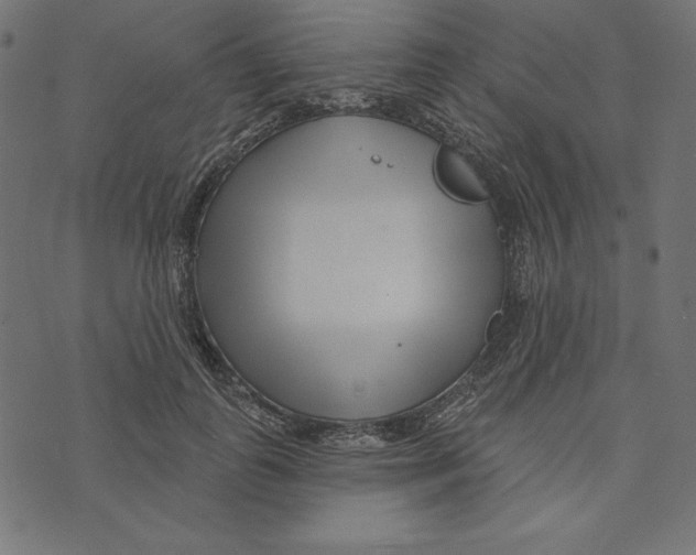 X0000072940747200608181340