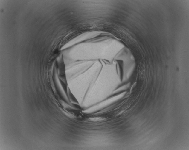 X0000072940748200608181341