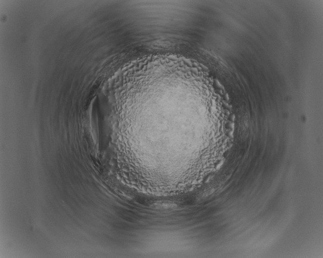 X0000072940749200608181341