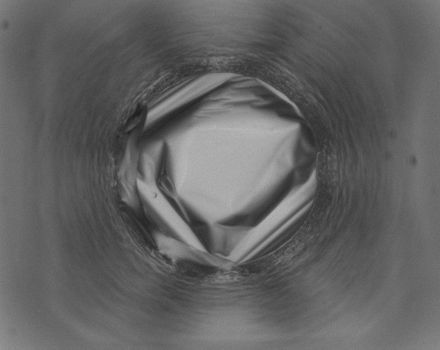 X0000072940750200608181341