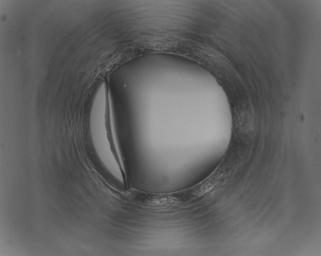 X0000072940752200608181341