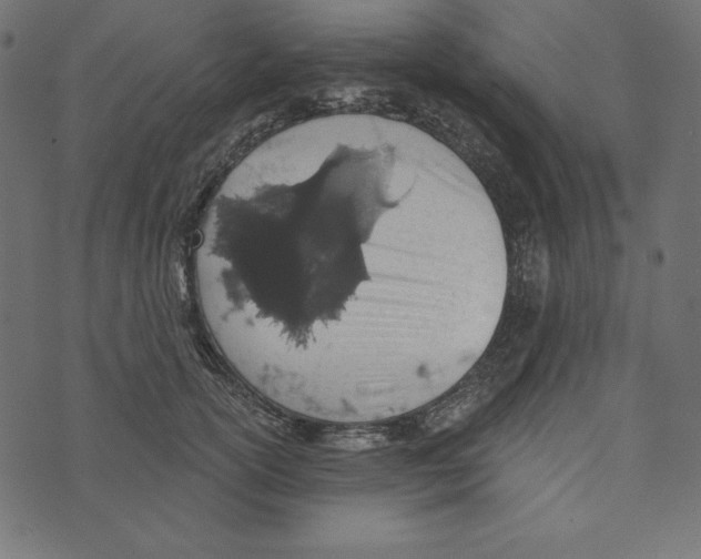 X0000072940754200608181341