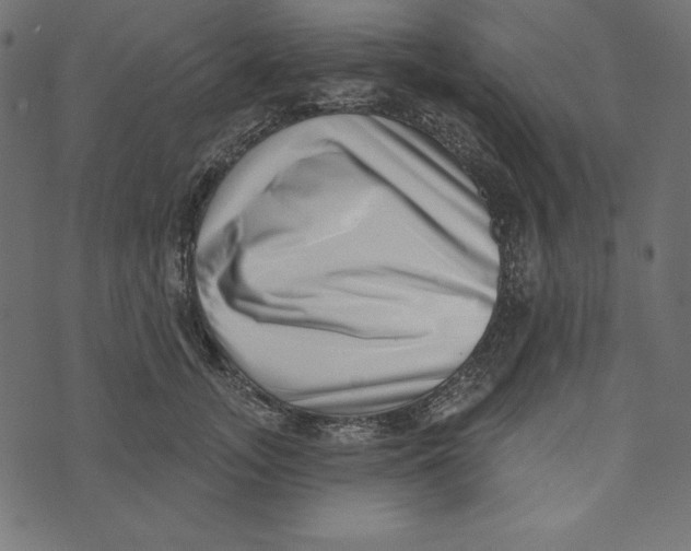 X0000072940755200608181341