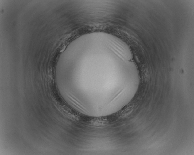 X0000072940756200608181341