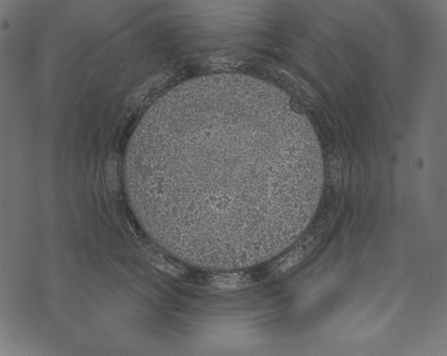 X0000072940757200608181341